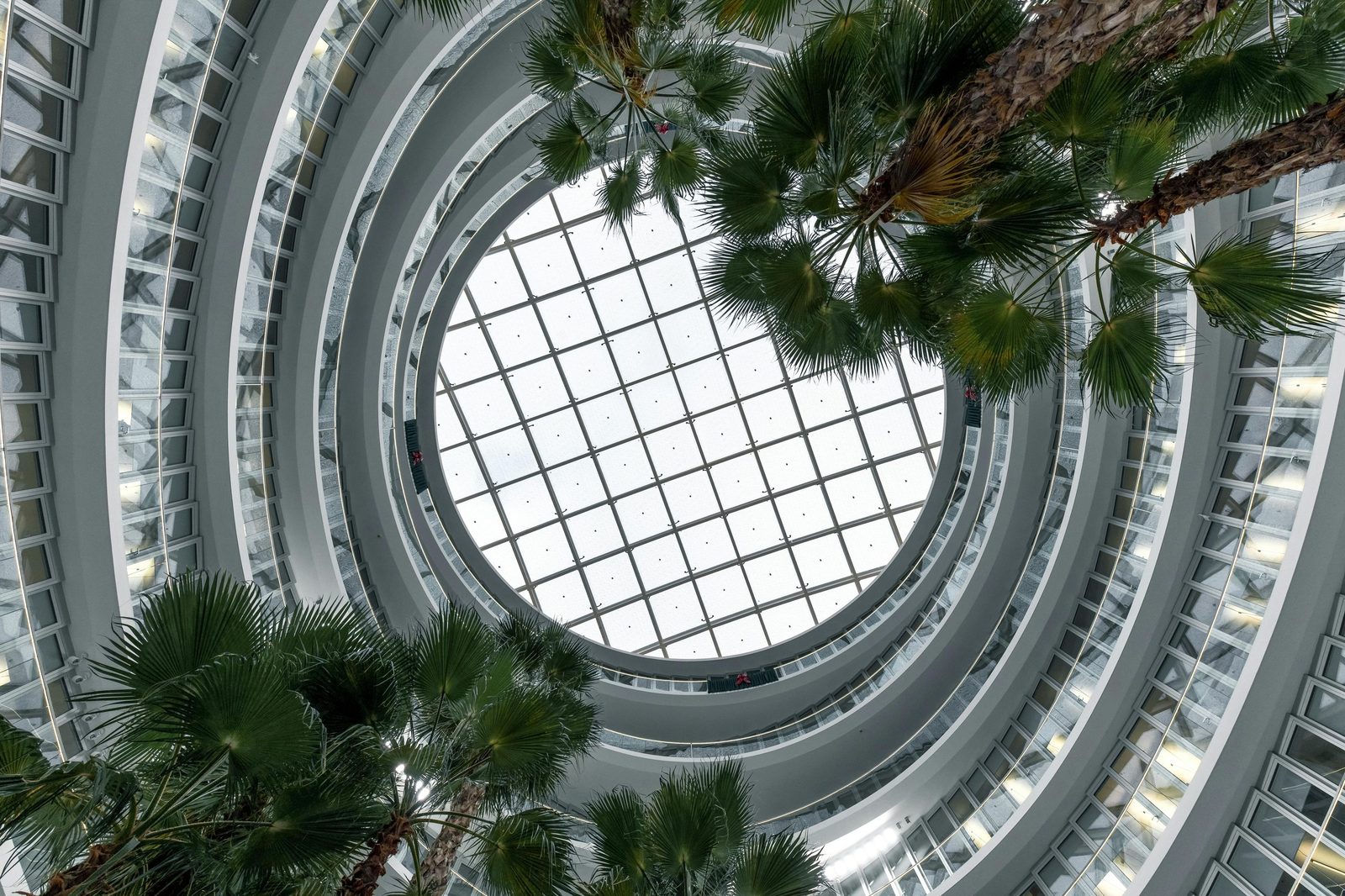 An institutional atrium in natural light